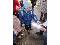 Výstava domácích zvířat