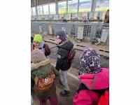 Výstava domácích zvířat