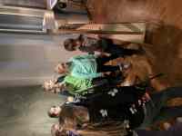 České muzeum hudby